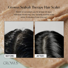 Load image into Gallery viewer, GROWUS Sea Salt Therapy Scalp Scaler 250g