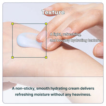 Load image into Gallery viewer, TIAM Hyaluronic Moisture Revive Cream 50ml