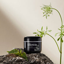 Load image into Gallery viewer, mommy care Perilla Whitening Cream 50g