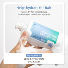 Load image into Gallery viewer, APLB Daily Solution Hair Shampoo 300ml