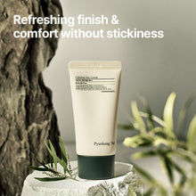 Load image into Gallery viewer, Pyunkang Yul Calming Sun Cream 50ml