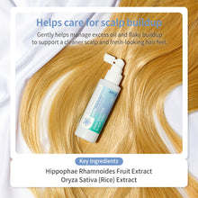 Load image into Gallery viewer, APLB Daily Solution Scalp Tonic 105ml