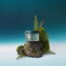 Load image into Gallery viewer, Isntree Gim PDRN Deep Sleep Mask 80ml