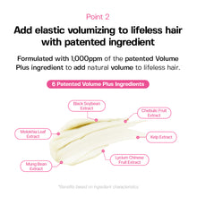 Load image into Gallery viewer, JULYME Perfume Recovery Butter Hair Mask 150ml