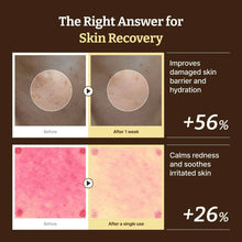 Load image into Gallery viewer, Dr.Reju-All Advanced PDRN Rejuvenating Cream 20ml