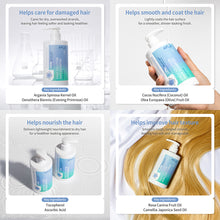 Load image into Gallery viewer, APLB Daily Solution Hair Shampoo 300ml