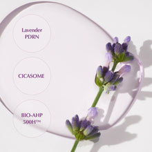 Load image into Gallery viewer, KAINE Lavender PDRN Revitalizing Toner 300ml