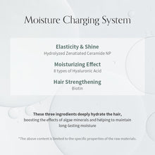 Load image into Gallery viewer, GROWUS Algae Therapy No-Wash Treatment 150ml