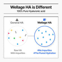 Load image into Gallery viewer, Wellage Real Hyaluronic Blue 100 Ampoule 60ml