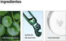 Load image into Gallery viewer, meaning cica flower patch 48EA