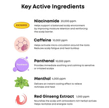 Load image into Gallery viewer, Nineless Root-Biome™ Caffeine Scalp Shampoo 300ml