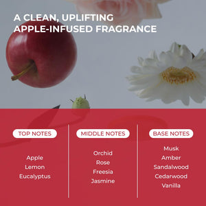 MOEV Annurcatin™ Treatment 200ml