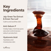 Load image into Gallery viewer, Isntree Green Tea Fresh Cleanser 120ml