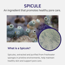 Load image into Gallery viewer, APLB Spicule Collagen Shot 300 Cream 55ml