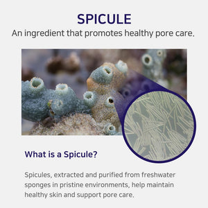 APLB Spicule Collagen Shot 300 Cream 55ml