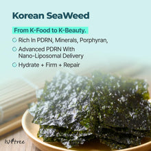 Load image into Gallery viewer, Isntree Gim PDRN Hydro Bouncy Ampoule 50ml