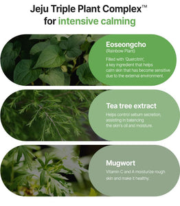 FATION Real Fit Heartleaf Calming Mask 5EA