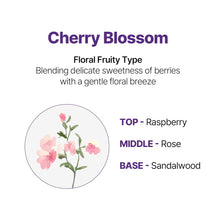 Load image into Gallery viewer, KUNDAL Macadamia Hair Serum 100ml