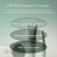 Load image into Gallery viewer, GROWUS Algae Therapy No-Wash Treatment 150ml