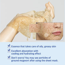 Load image into Gallery viewer, Numbuzin No.4 Icy Soothing Sheet Mask 4EA