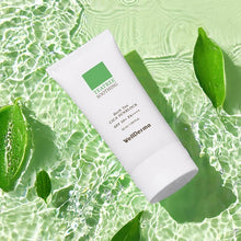 Load image into Gallery viewer, WellDerma Teatree Herb Tox Cica Sunblock 50ml