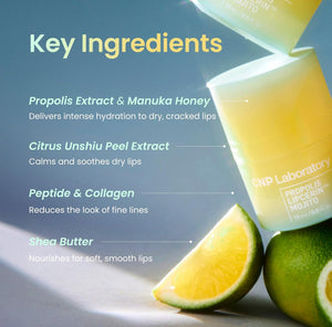 CNP Laboratory Propolis Lipcerin