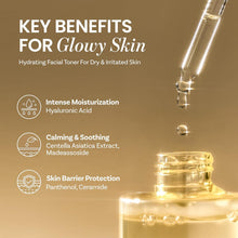 Load image into Gallery viewer, Ongredients Skin Barrier Calming Softener 250ml
