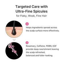Load image into Gallery viewer, MEDICUBE Roseymary PDRN Scalp Serum 20ml