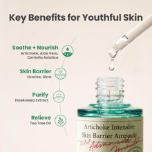 Load image into Gallery viewer, AXIS-Y Artichoke Intensive Skin Barrier Ampoule 30ml