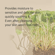 Load image into Gallery viewer, mixsoon Centella Cleansing Foam 150ml