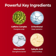 Load image into Gallery viewer, KUNDAL Caffeine Shampoo 500ml