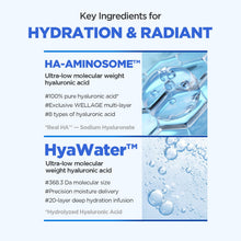 Load image into Gallery viewer, Wellage Real Hyaluronic Blue Sun Cream 50ml