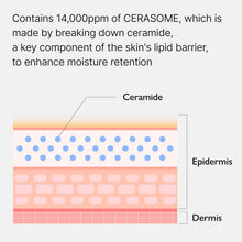 Load image into Gallery viewer, Genabelle Ceramidesome Mellow Velvet Mask 5EA