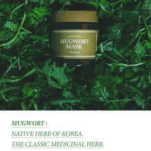 Load image into Gallery viewer, I&#39;m From Mugwort Mask 110g