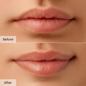 CNP Laboratory Propolis Lipcerin