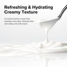 Load image into Gallery viewer, Beauty of Joseon Dynasty Cream 50ml