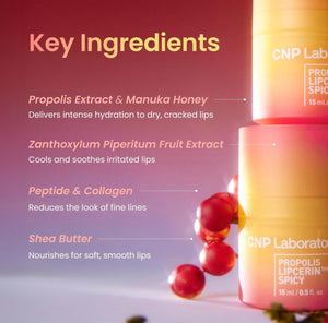 CNP Laboratory Propolis Lipcerin