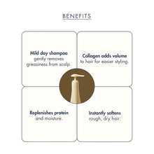 Load image into Gallery viewer, Treecell Day Collagen Shampoo Morning of Resort 360ml
