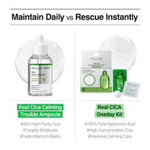 Load image into Gallery viewer, Wellage Real Cica Calming 95 Trouble Ampoule 50ml