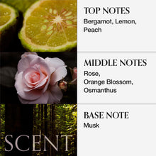 Load image into Gallery viewer, MONCLOS Velvet Volume Shampoo 300ml