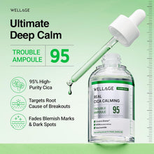 Load image into Gallery viewer, Wellage Real Cica Calming 95 Trouble Ampoule 50ml