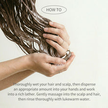 Load image into Gallery viewer, APLB Daily Solution Hair Shampoo 300ml
