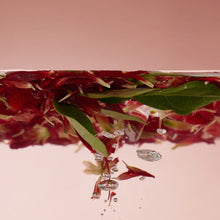 Load image into Gallery viewer, ROUND LAB Camellia Deep Collagen Jelly Mask Cleanser 150ml