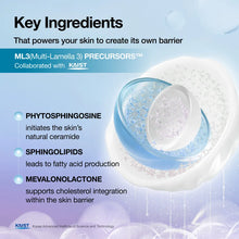 Load image into Gallery viewer, Anua KDH Barrier Reboot Daily Moisturizer 50ml