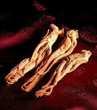 Load image into Gallery viewer, Pyunkang Yul Red Ginseng Propolis Booster Toner 110ml