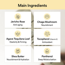 Load image into Gallery viewer, Abib Jericho Rose Creme Nutrition Tube 75ml