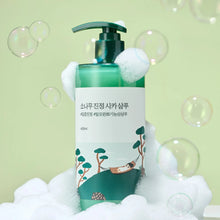 Load image into Gallery viewer, ROUND LAB Pine Calming Cica Shampoo 400ml