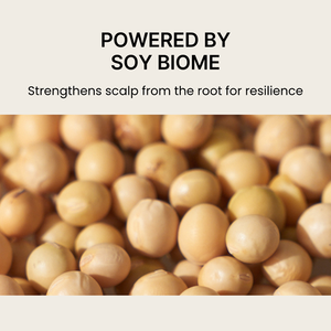 nesh Soy Biome Scalp Balancing Shampoo 480ml