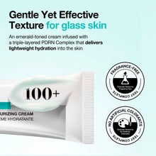 Load image into Gallery viewer, Anua PDRN Hyaluronic Acid 100 Moisturizing Cream 60ml