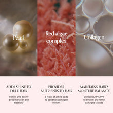 Load image into Gallery viewer, GROWUS Damage Therapy Shampoo EX 500ml - [Refill]